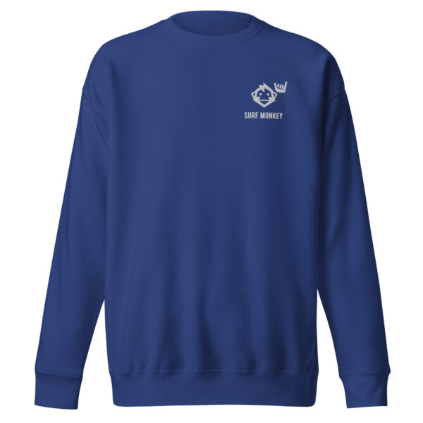 unisex-premium-sweatshirt-team-royal-front-64672624ea176.jpg